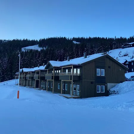 Voss Resort Bavallstunet Lodge Skulestadmo