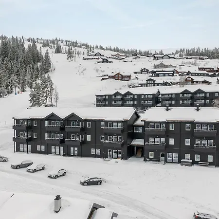 Lodge Voss Bavallstunet Skulestadmo